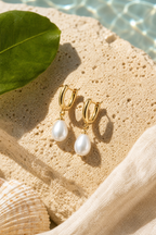 Classy Pearl Earrings Drop